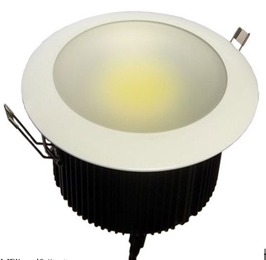 COB LED Down Light (GA-DL6A-30W)